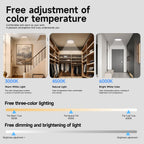 Nooklit™ Halo Path Ceiling Light